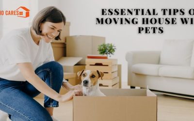 Essential Tips On Moving House With Pets