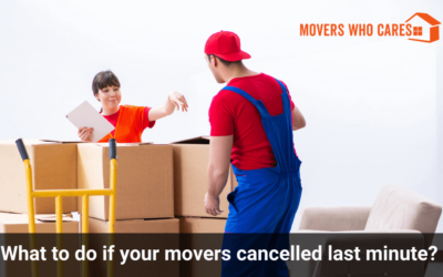 What to do if your movers cancelled last minute?